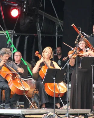 Hollywood Bowl Orchestra: Home Alone In Concert - Film With Live Orchestra