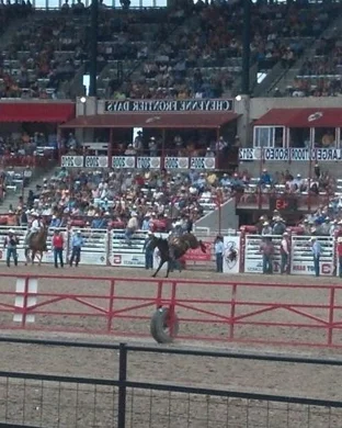 Long Beach Rodeo