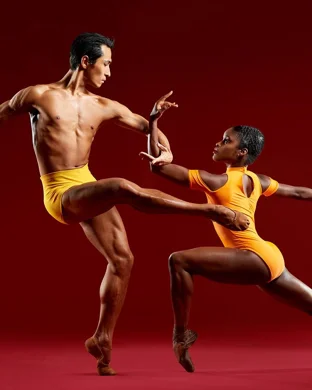 Backhausdance